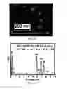 Fig. 06 - MEMBRANELESS DIRECT LIQUID FUEL CELLS