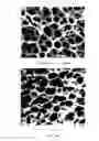 Fig. 07 - Process for producing lithium batteries having an ultra-high energy density