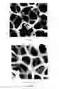 Fig. 09 - Process for producing lithium batteries having an ultra-high energy density