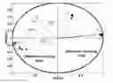 Fig. 01 - DESIGN OF DUAL LOADED RFID TAG FOR HIGHER ORDER MODULATIONS