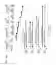 Fig. 12 - Wireless power transmission system