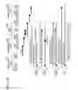 Fig. 13 - Wireless power transmission system