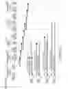 Fig. 18 - Wireless power transmission system