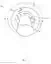 Fig. 08 - Method for repairing an electric generator having a rotor connecting ring with conductive arc segments