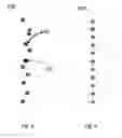 Fig. 07 - Background calibration of sampler offsets in analog to digital converters