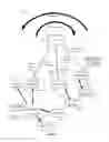 Fig. 02 - HARQ handling at inter-beam handover