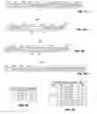 Fig. 11 - Bit indexed explicit replication packet encapsulation