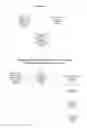 Fig. 11 - Social network graph inference and aggregation with portability, protected shared content, and application programs spanning multiple social networks