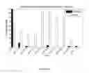 Fig. 06 - Systems and methods for instructions-based detection of sophisticated obfuscation and packing