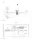 Fig. 02 - APPARATUS AND METHOD FOR TRANSMITTING MASS DATA