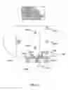 Fig. 10 - Wireless communication system for use by teams