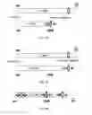 Fig. 17 - Lens barrel, replacement lens, imaging device, and control program