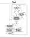Fig. 10 - Electronic apparatus to display a plurality of items arranged in an item line on a display