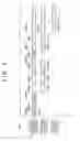 Fig. 07 - Image processing apparatus and method