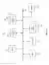Fig. 25 - Spatial and temporal alignment of video sequences