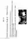 Fig. 14 - Optimizing panoramic image composition