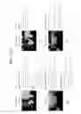 Fig. 30 - Panoramic image placement to minimize full image interference