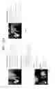 Fig. 31 - Panoramic image placement to minimize full image interference