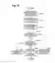 Fig. 13 - Image predictive encoding and decoding device