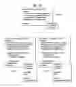 Fig. 34 - Service guide information transmission method, service guide information reception method, service guide information transmission device, and service guide information reception device