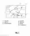 Fig. 02 - Control plane assisted optical switch