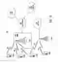 Fig. 02 - METHOD AND APPARATUS FOR OFFLOADING BACKHAUL TRAFFIC