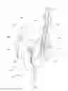 Fig. 02 - Pruning shears