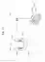 Fig. 12 - PLANT-TRANSPLANTING DEVICE