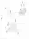 Fig. 13 - PLANT-TRANSPLANTING DEVICE