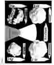 Fig. 06 - Brilliant white cauliflower