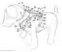 Fig. 01 - PET VEST