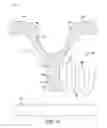 Fig. 12 - PET VEST