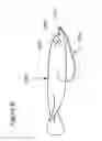 Fig. 09 - Combination sinker and bait stabilizer