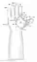 Fig. 01 - PROTECTIVE DEVICE FOR USE WITH A GLOVE
