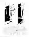 Fig. 05 - Chair equipped with supporter for shoulder