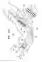 Fig. 41 - FLEXIBLE ENDOSCOPE SYSTEM AND FUNCTIONALITY