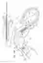 Fig. 44 - FLEXIBLE ENDOSCOPE SYSTEM AND FUNCTIONALITY
