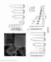 Fig. 12 - Compositions and Methods for Analyzing Collateral Density