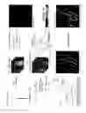 Fig. 02 - Multimodal transcranial brain optical imaging