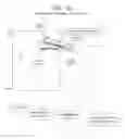 Fig. 02 - APPARATUS AND METHOD FOR IMAGING THE RELATIVE MOTION OF SKELETAL SEGMENTS