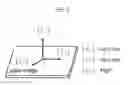 Fig. 06 - Sensor coordinate calibration in an ultrasound system