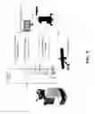 Fig. 28 - Acoustic orthopedic tracking system and methods