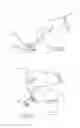 Fig. 07 - Biopsy specimen carrier