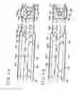 Fig. 06 - VEIN DISSECTING DEVICE AND METHOD