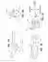 Fig. 08 - VEIN DISSECTING DEVICE AND METHOD