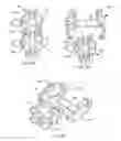 Fig. 07 - Rasp tool
