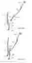 Fig. 31 - Rasp tool