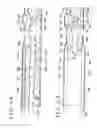 Fig. 05 - VEIN DISSECTING DEVICE AND METHOD