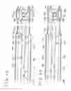 Fig. 06 - VEIN DISSECTING DEVICE AND METHOD