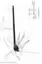 Fig. 07 - VEIN DISSECTING DEVICE AND METHOD